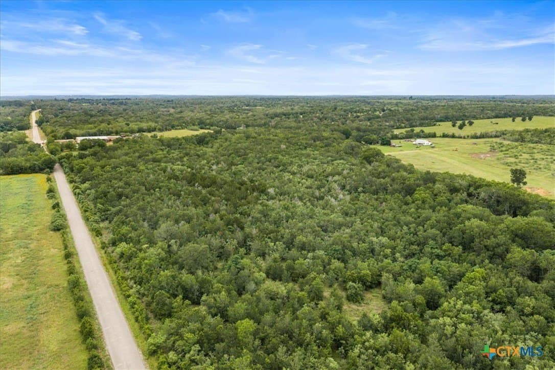 25 acres in Bastrop County gallery image 3