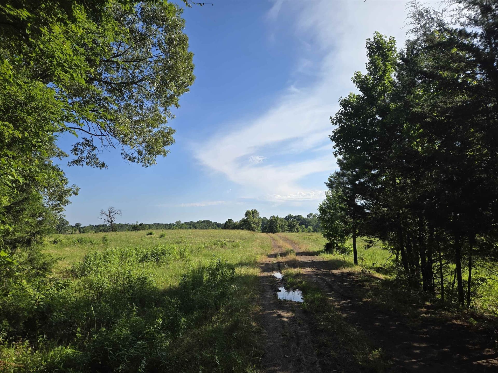 35.49 acres in Texas County featured view