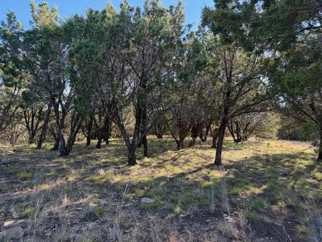 2.02 acres in Palo Pinto County gallery image 4