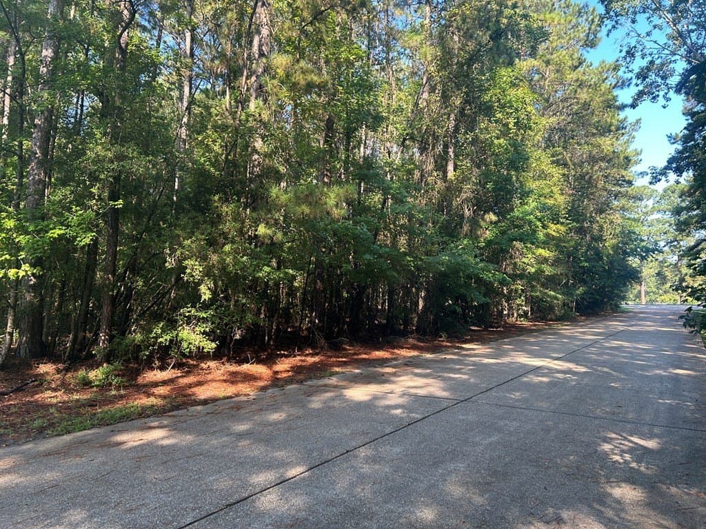 0.5 acres in Texas County - photo 10