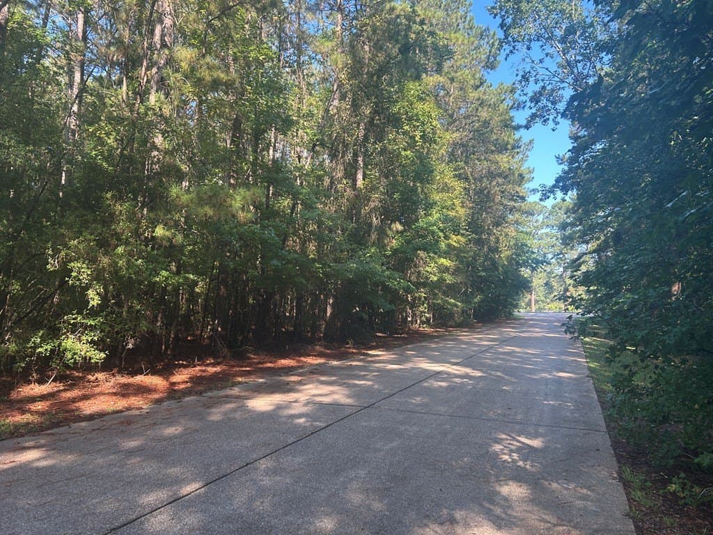0.5 acres in Texas County - photo 9