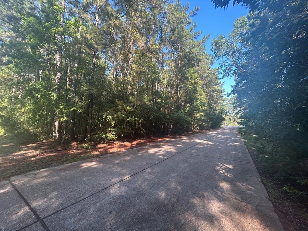 0.5 acres in Texas County - photo 7