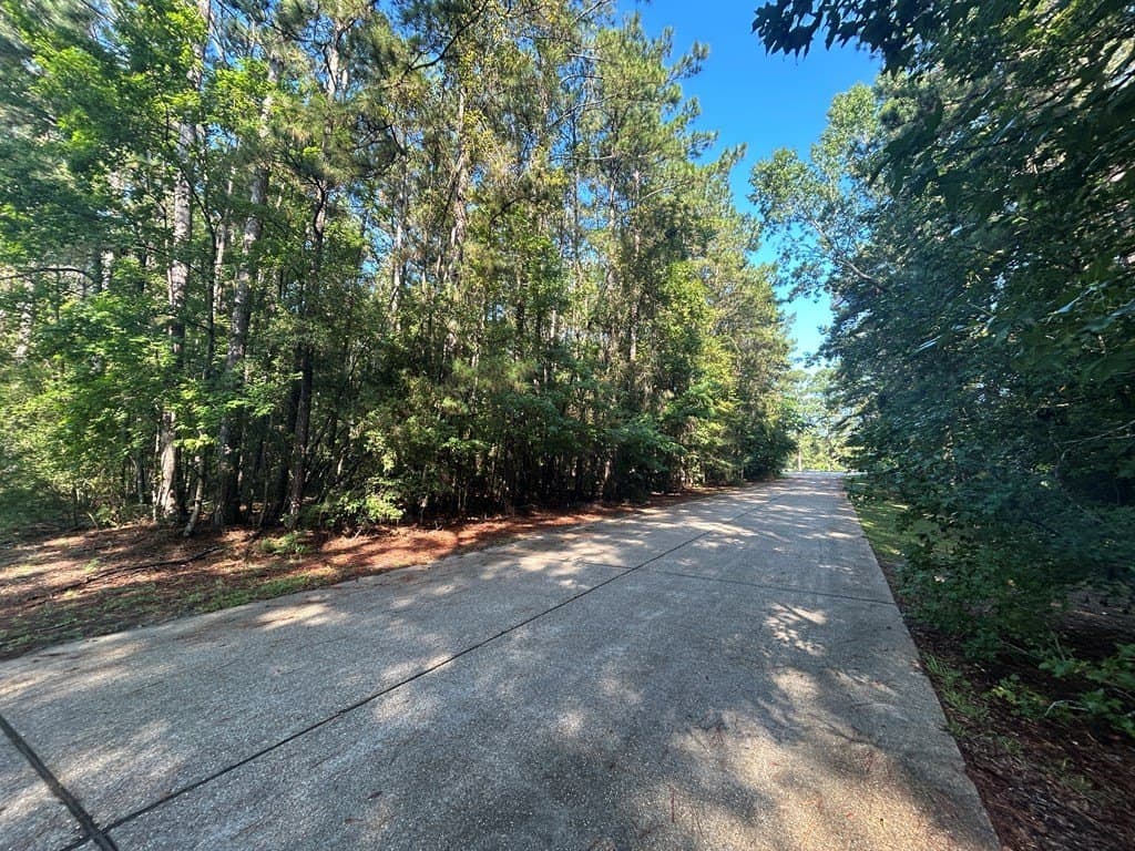 0.5 acres in Texas County - photo 8