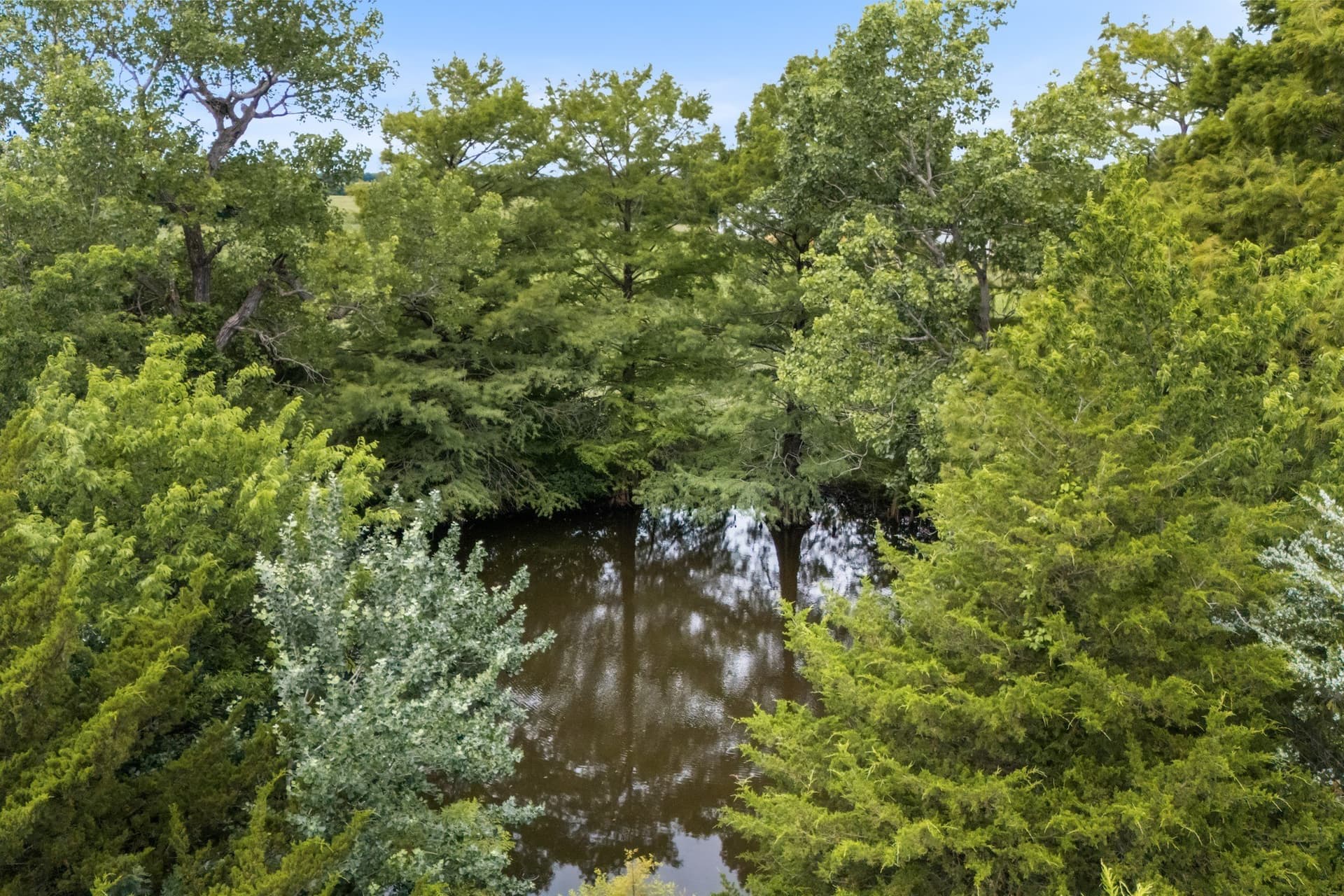 10.02 acres in Collin County - photo 14