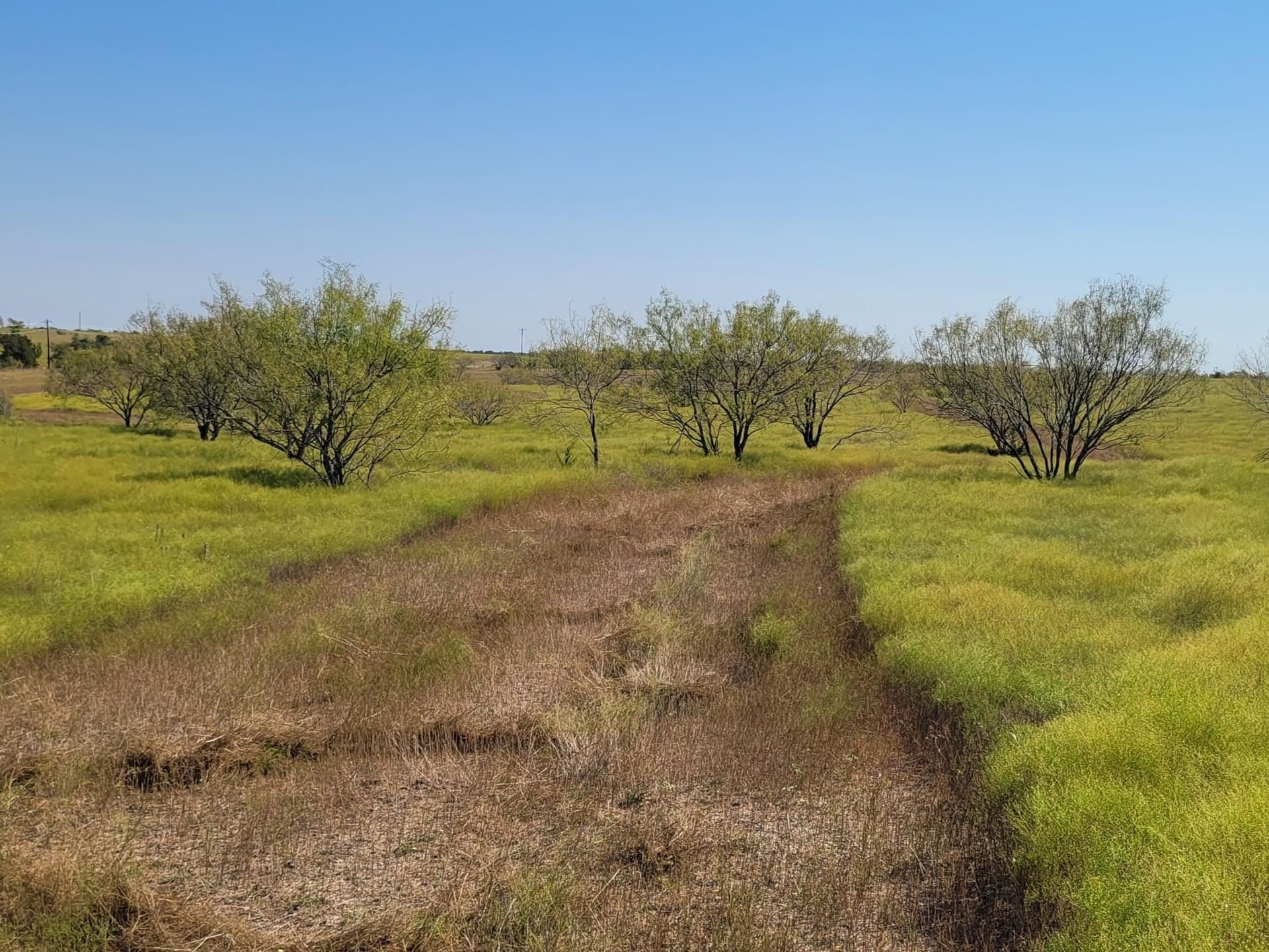 14.01 acres in Burnet County - photo 3