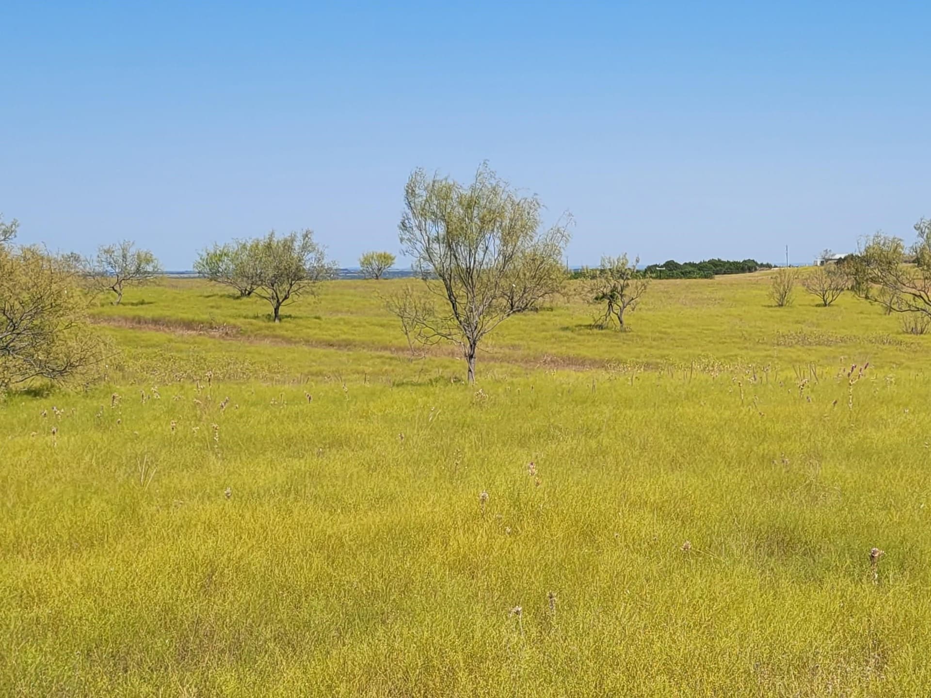 14.01 acres in Burnet County
