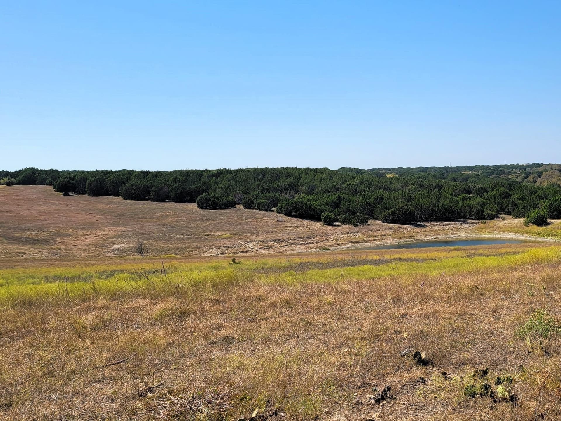 14.01 acres in Burnet County - photo 20