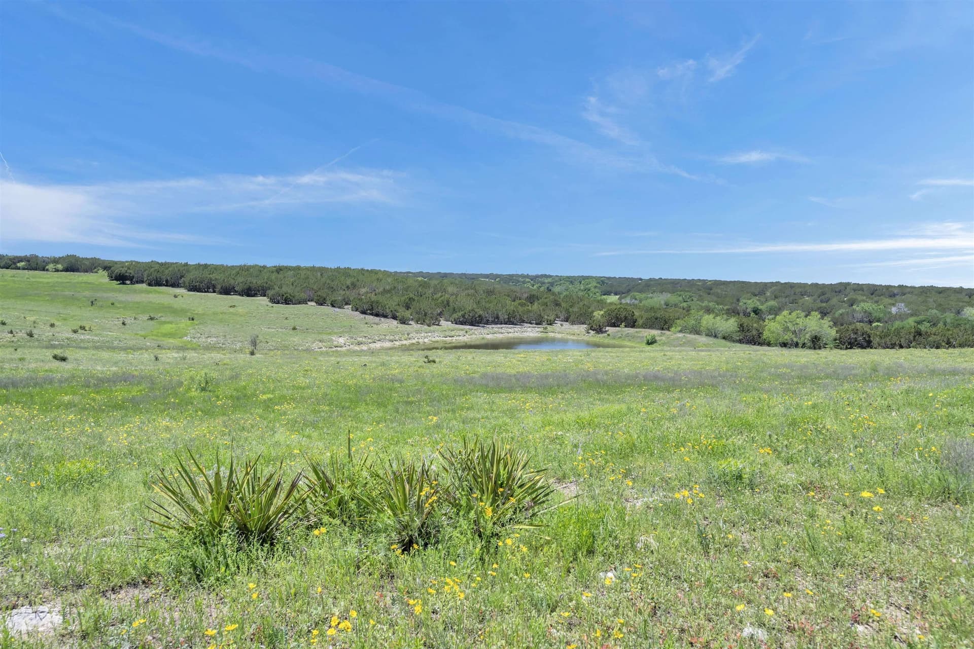 14.01 acres in Burnet County - photo 8