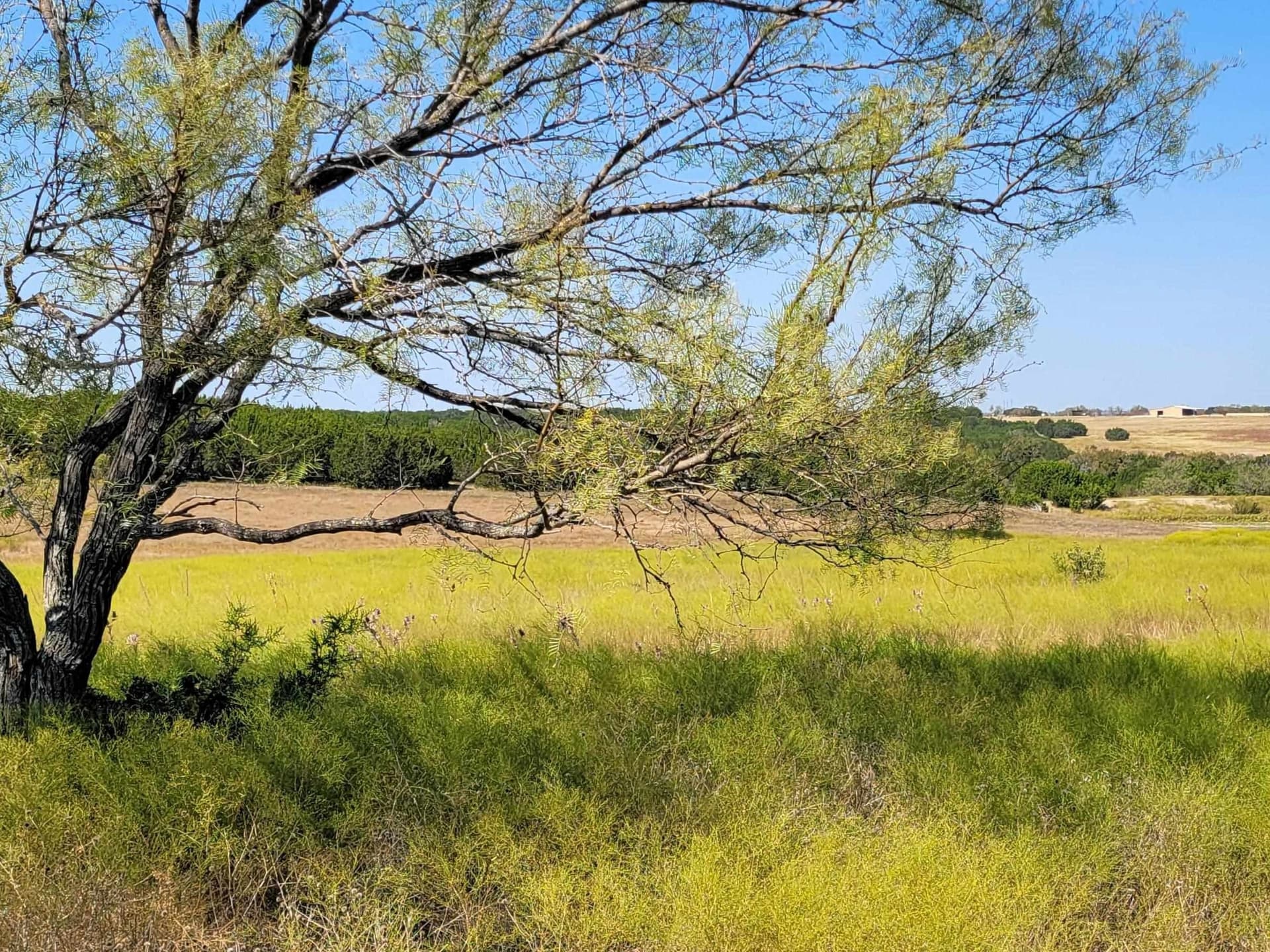 14.01 acres in Burnet County - photo 2