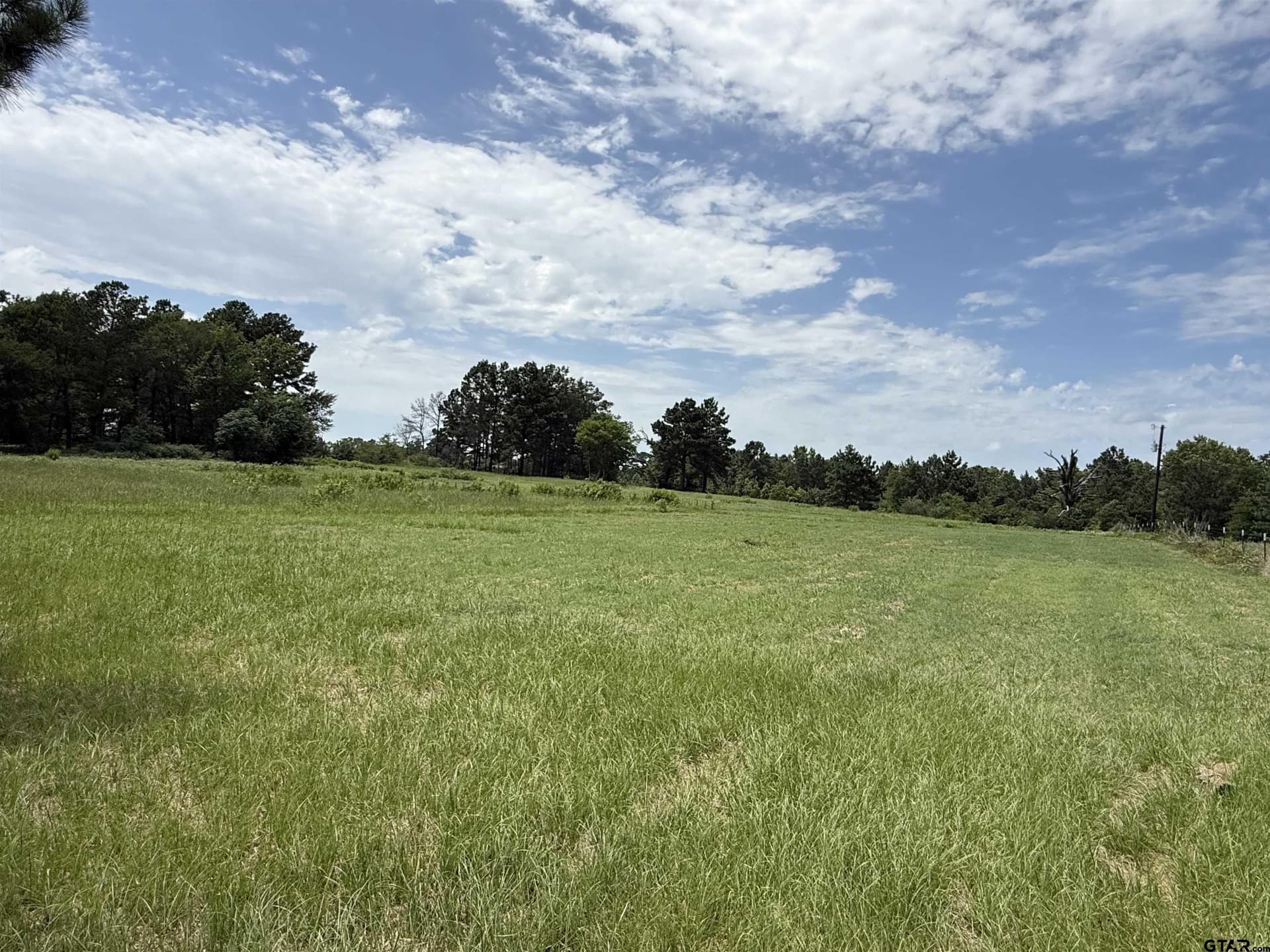 10.01 acres in Cherokee County gallery image 4