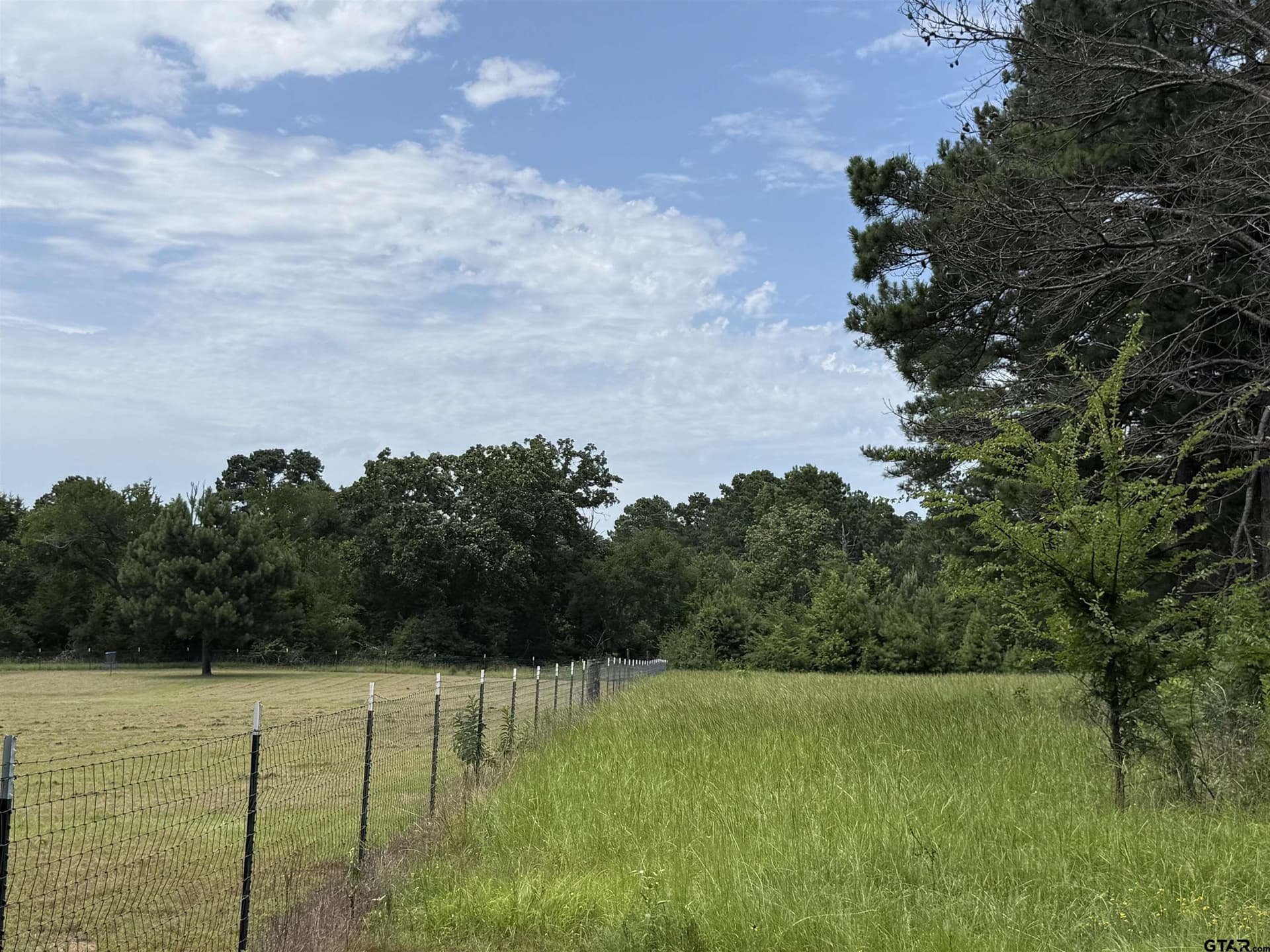 10.01 acres in Cherokee County gallery image 2