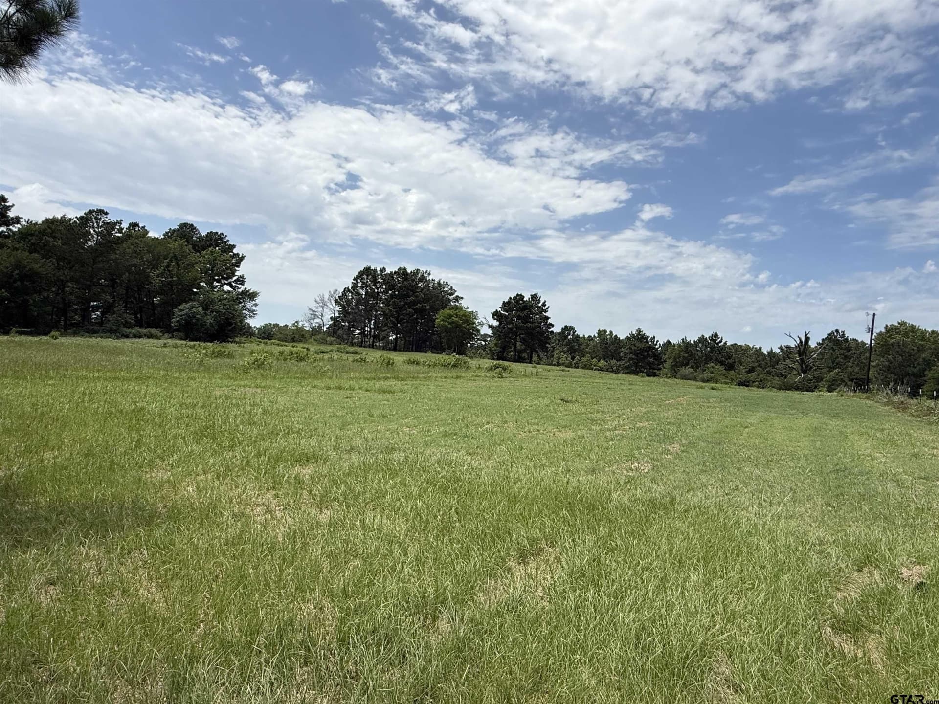 10.01 acres in Cherokee County gallery image 3