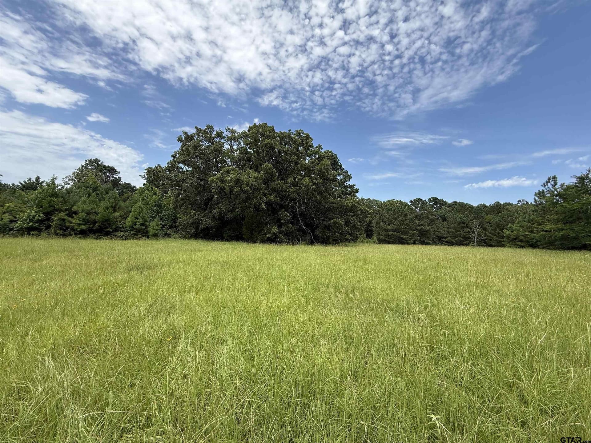 10.01 acres in Cherokee County featured view