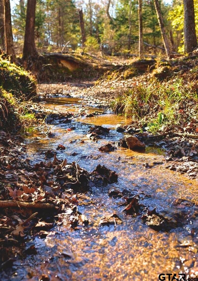 30.2 acres in Smith County - photo 26