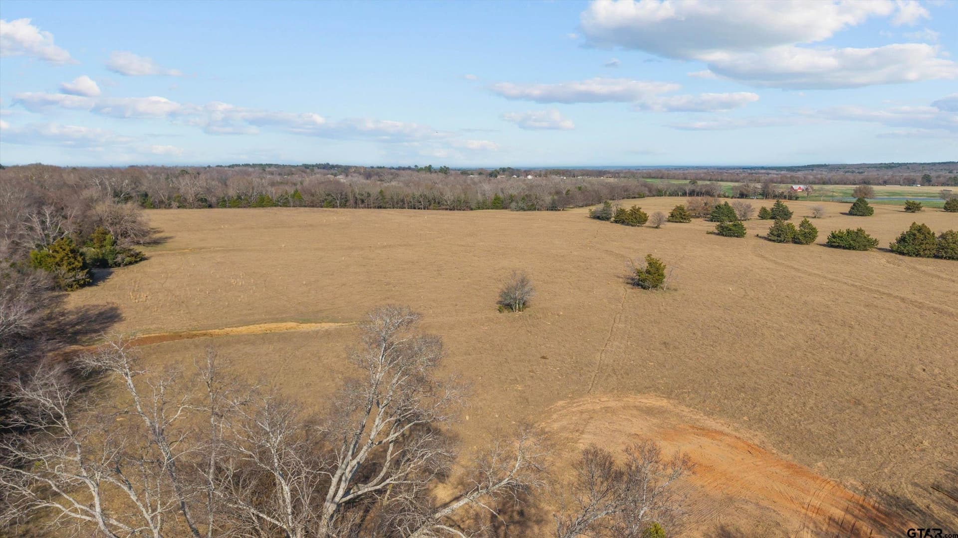 30.2 acres in Smith County - photo 10