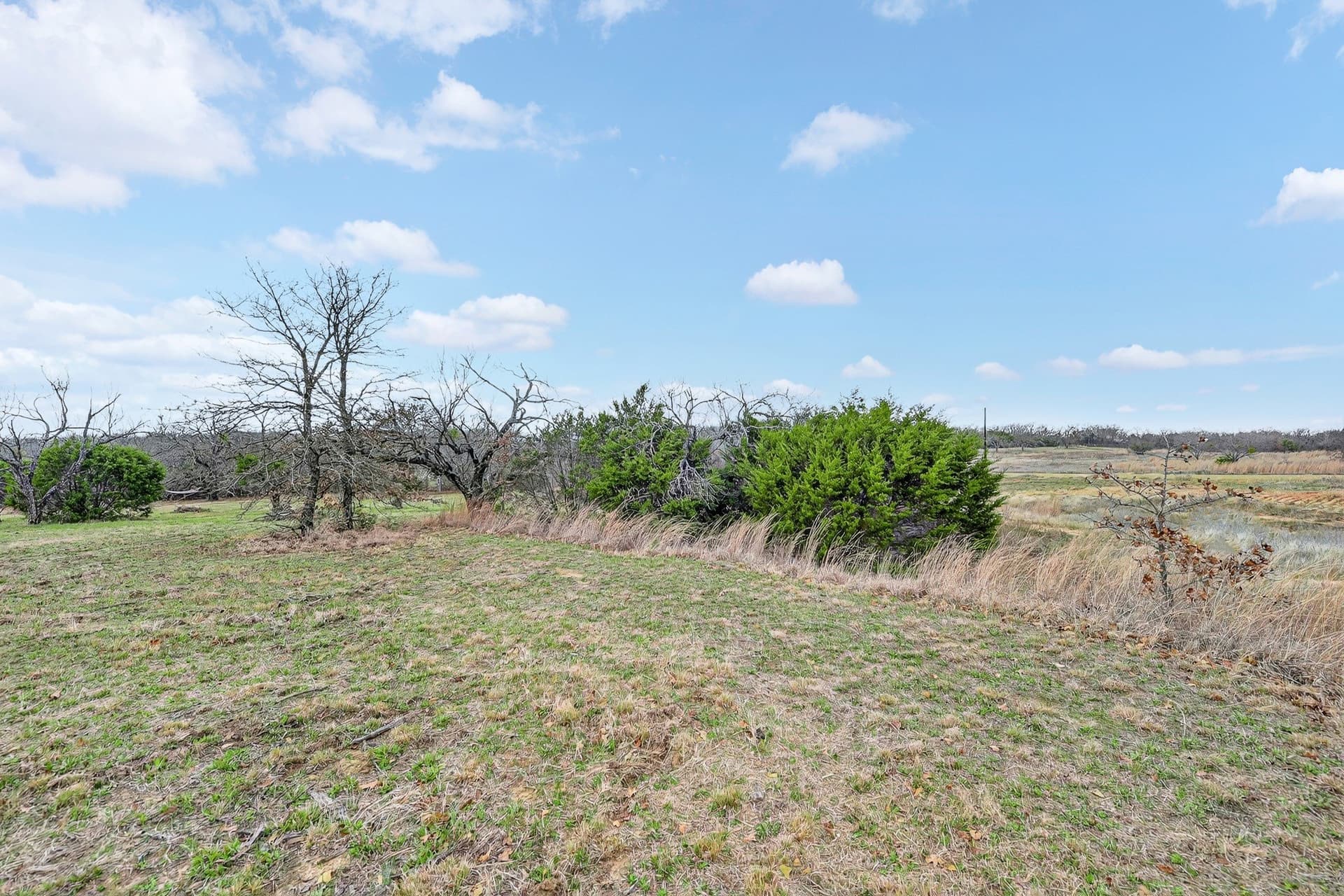 5.57 acres in Parker County - photo 19