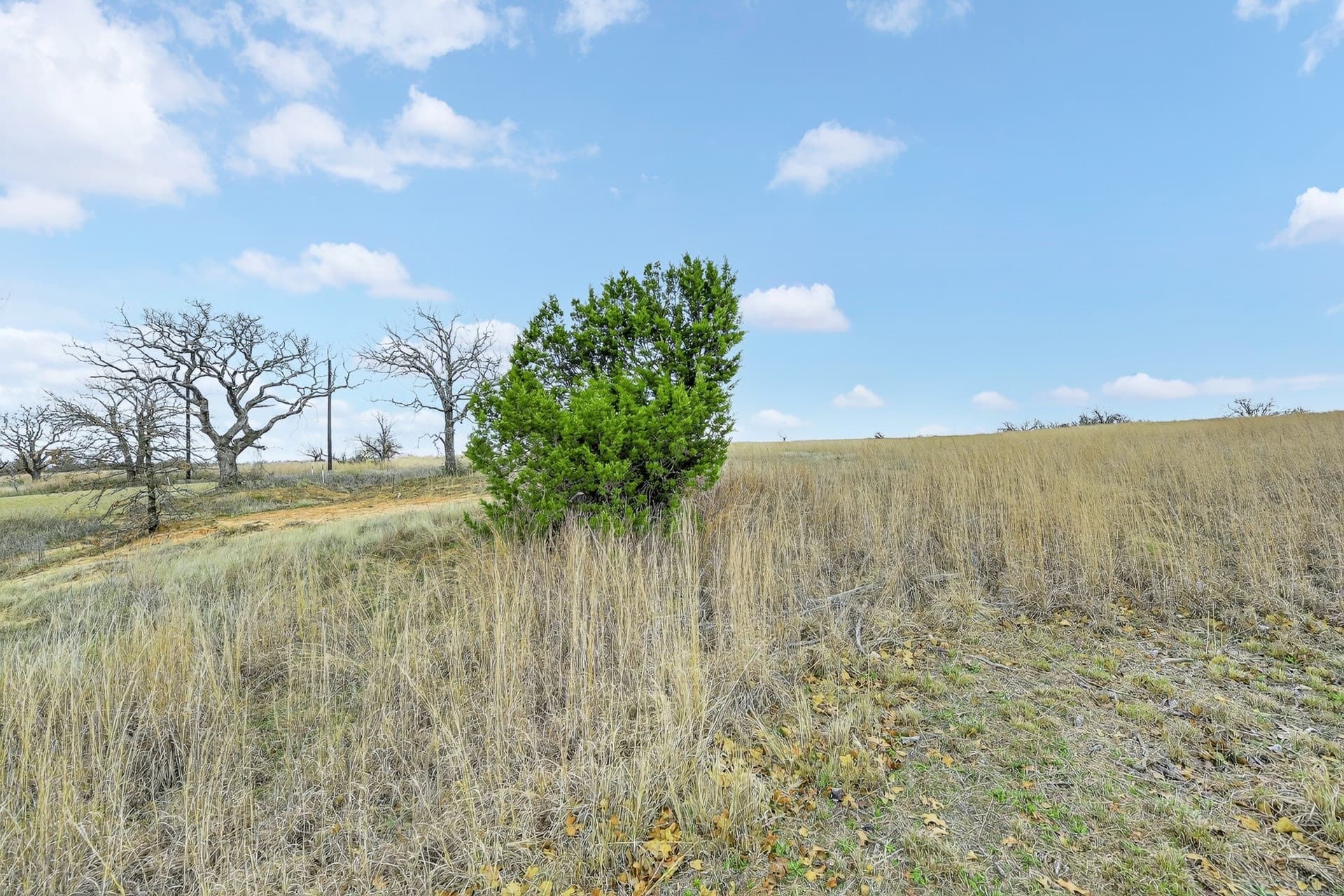 5.57 acres in Parker County - photo 21