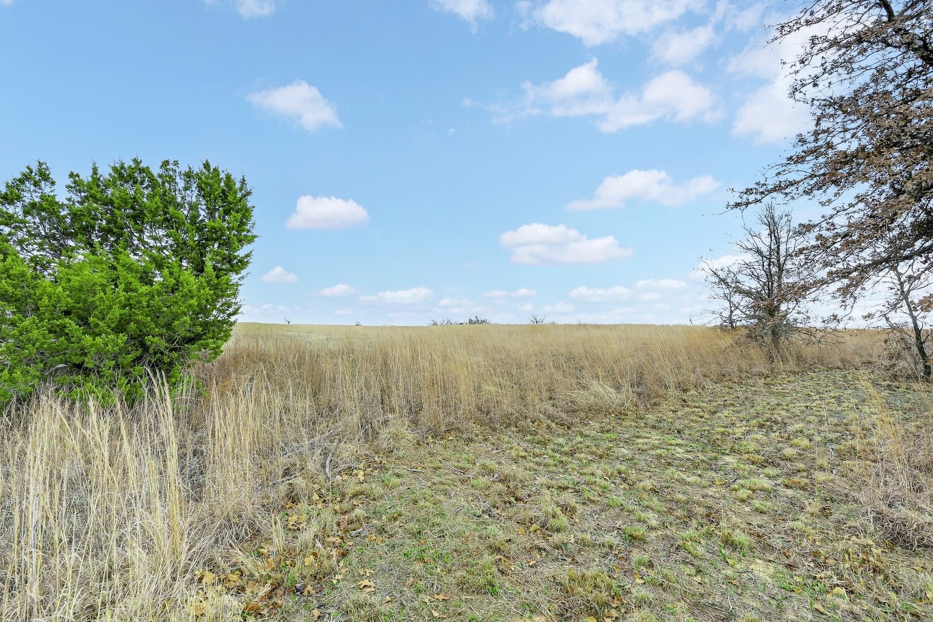 5.57 acres in Parker County - photo 22