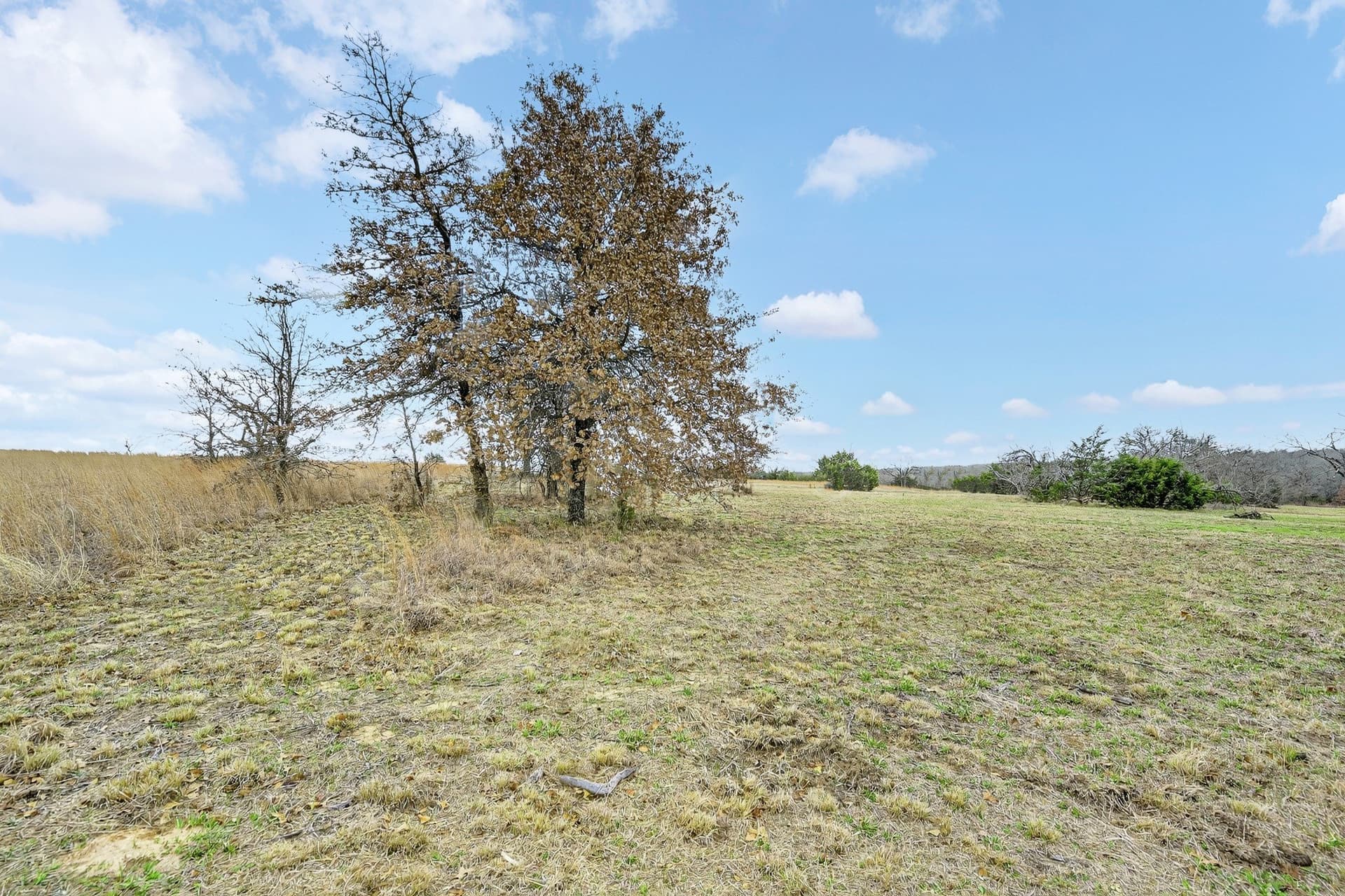 5.57 acres in Parker County - photo 20