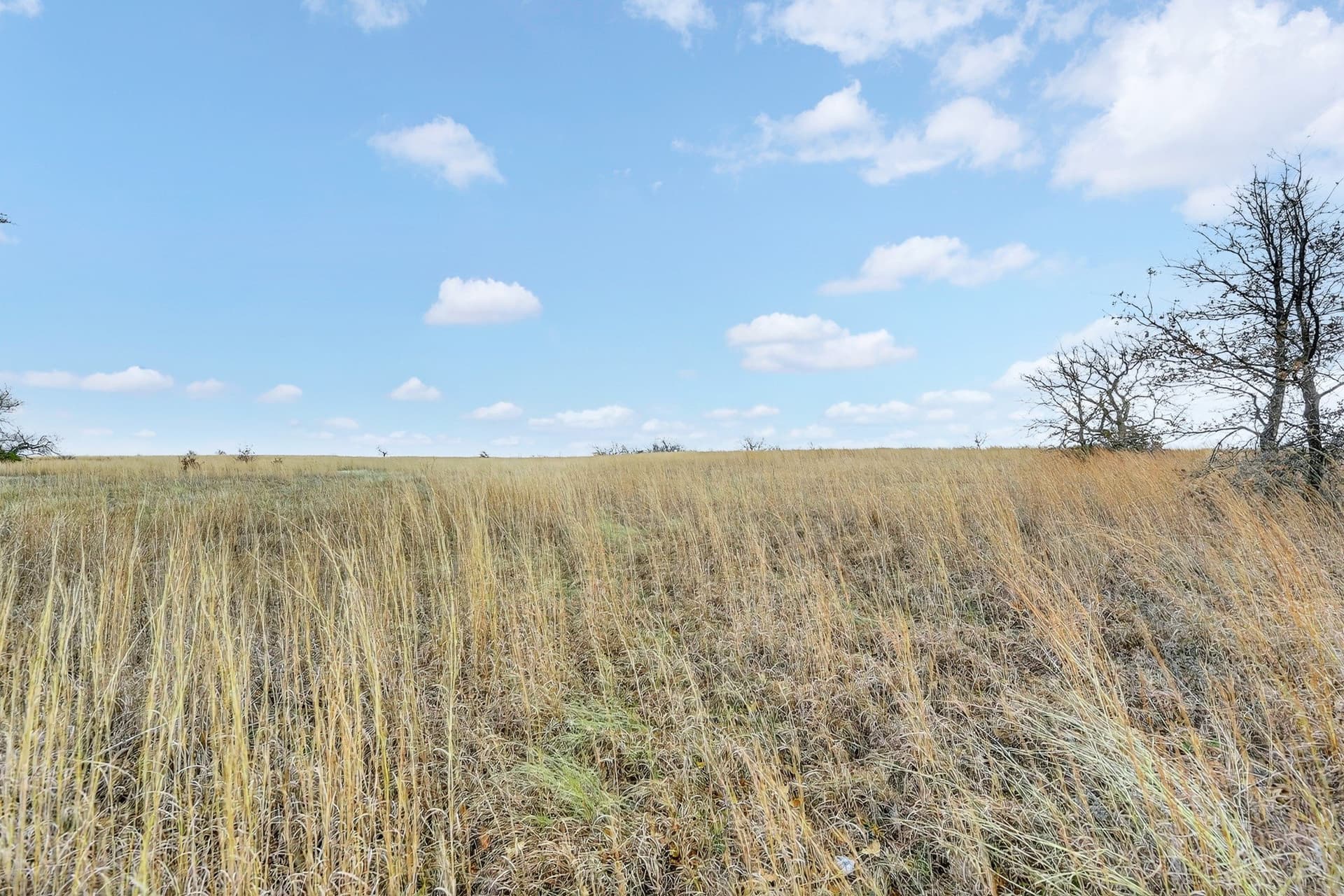 5.57 acres in Parker County - photo 18