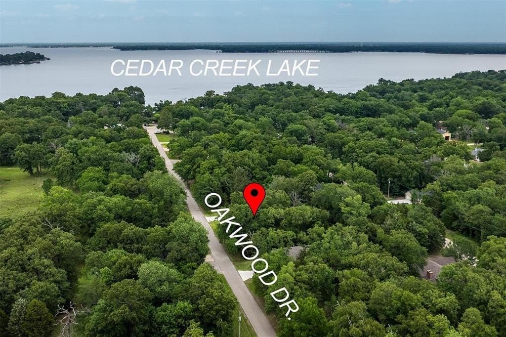 0.16 acres in Henderson County gallery image 2