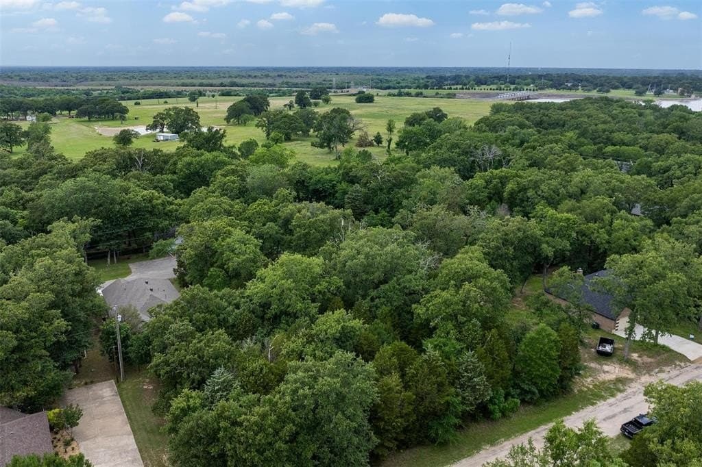 0.16 acres in Henderson County gallery image 3