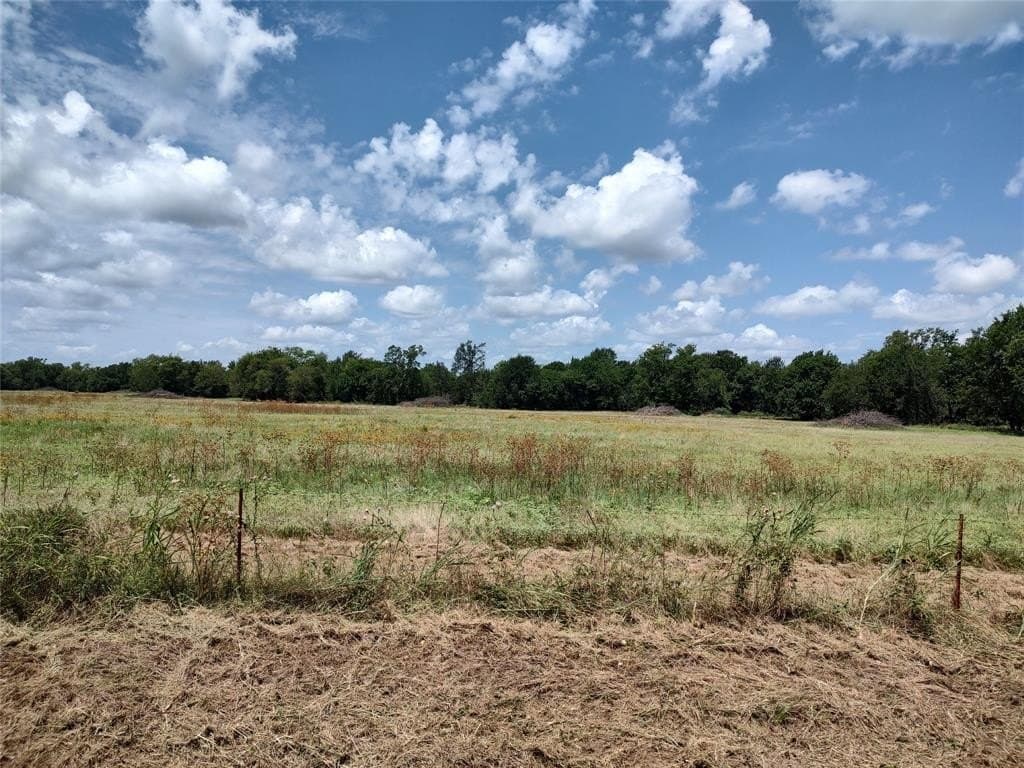 19 acres in Hopkins County gallery image 4