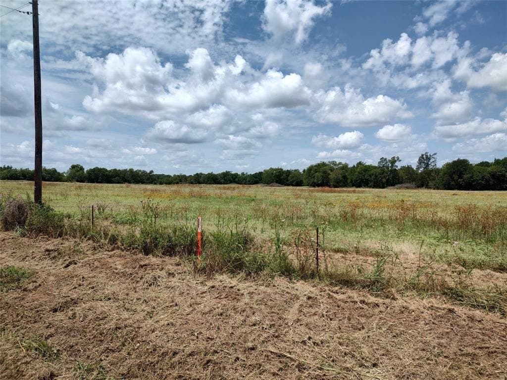 19 acres in Hopkins County gallery image 3