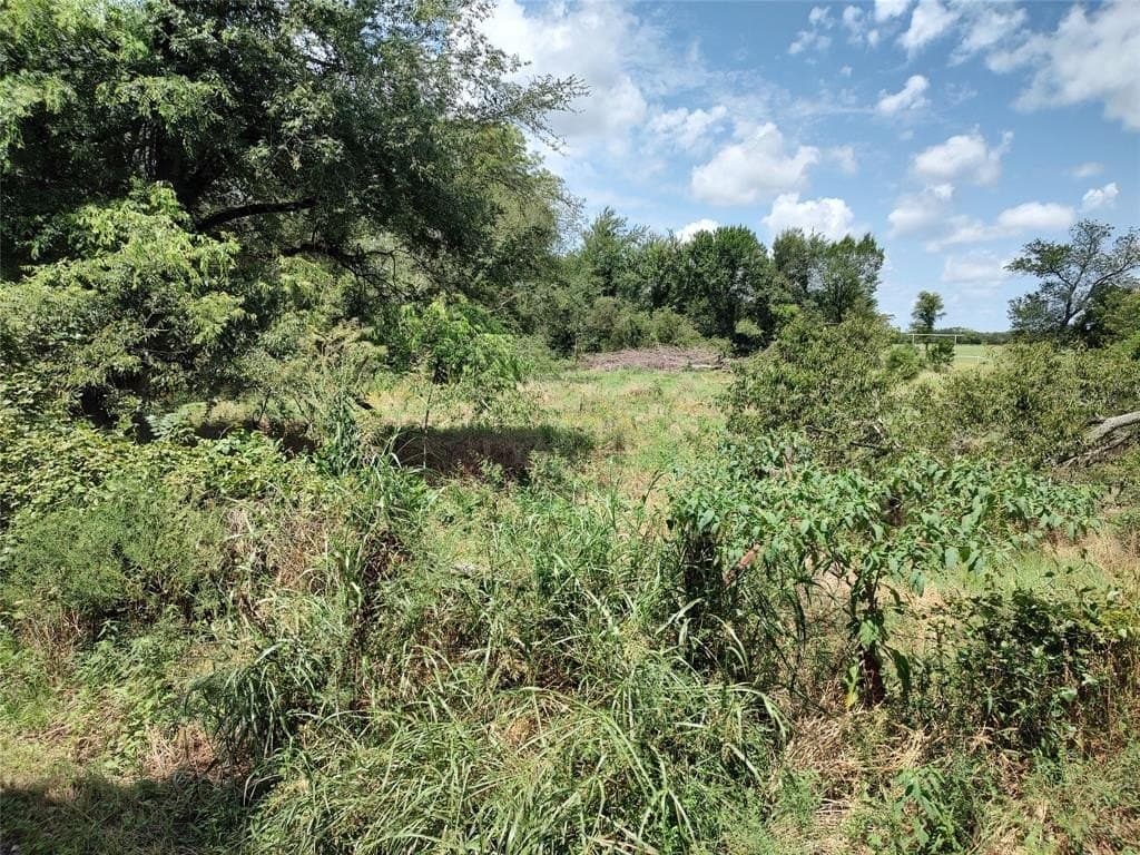 19 acres in Hopkins County gallery image 2