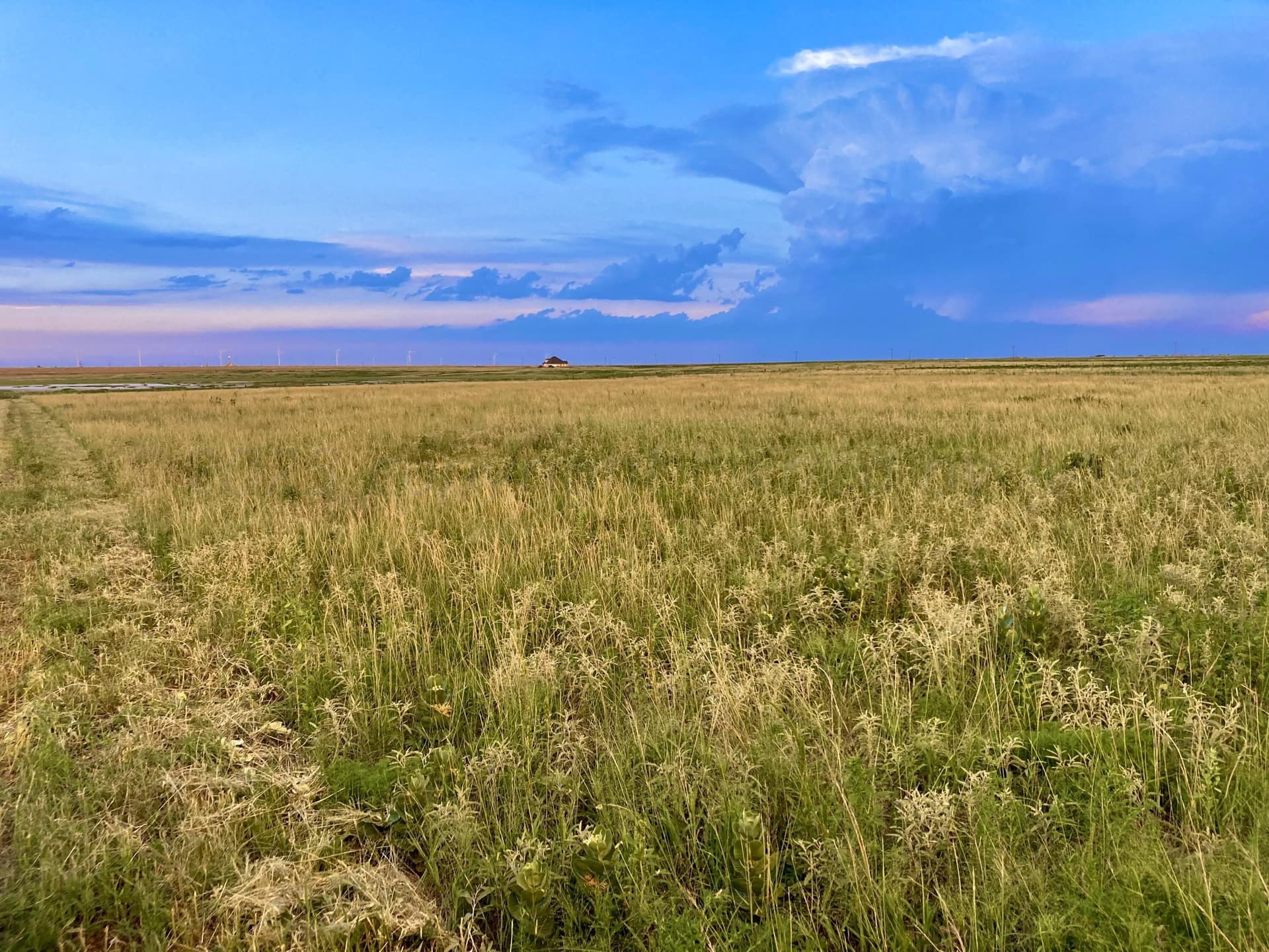 10 acres in Deaf Smith County gallery image 4