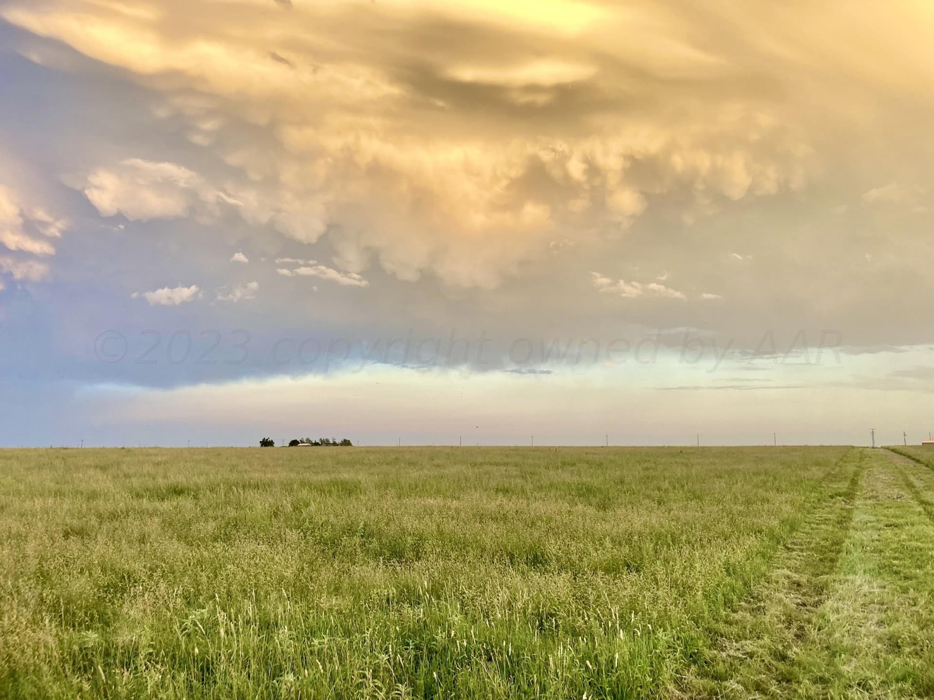 10 acres in Deaf Smith County featured view