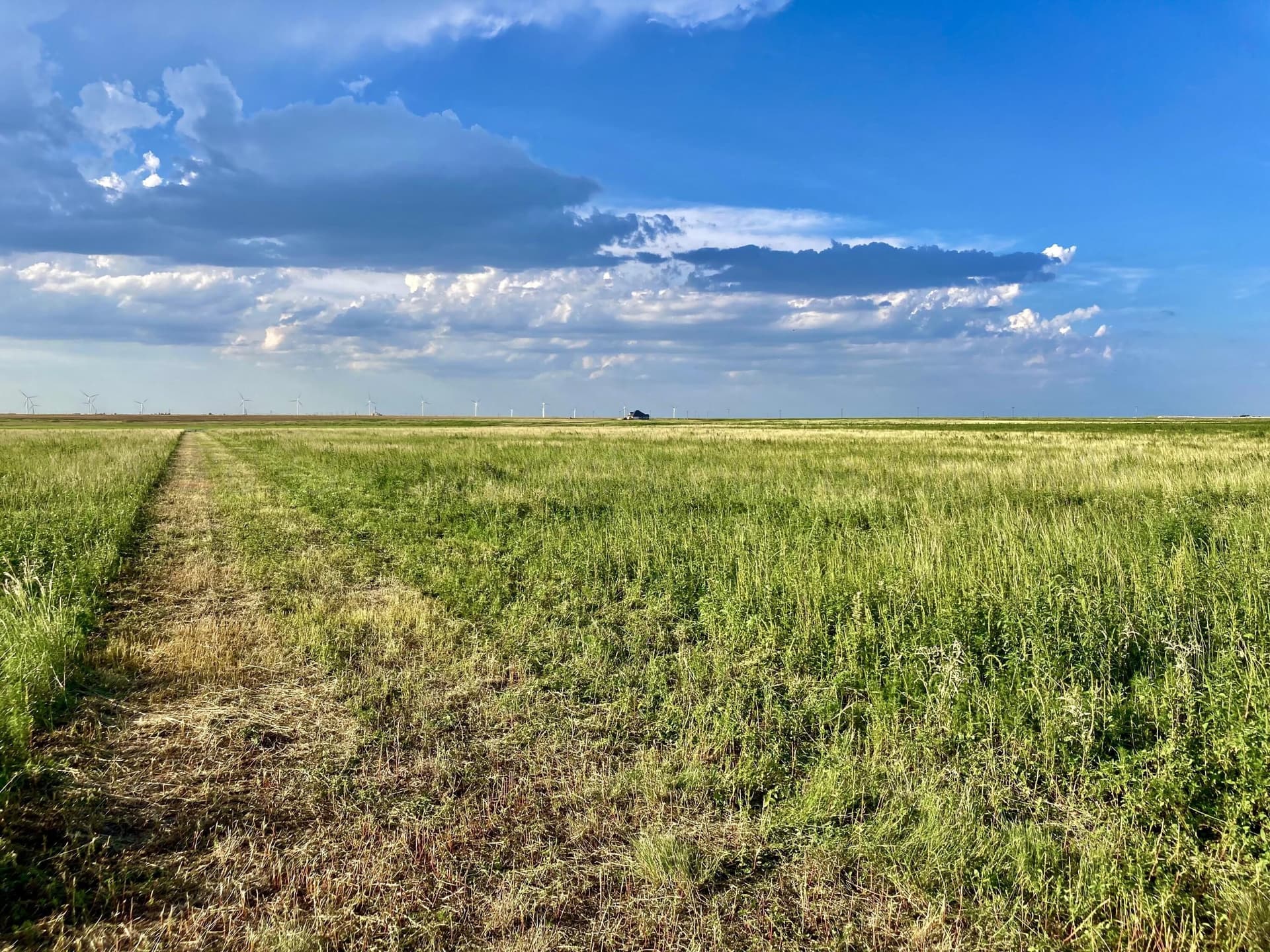 10 acres in Deaf Smith County gallery image 3