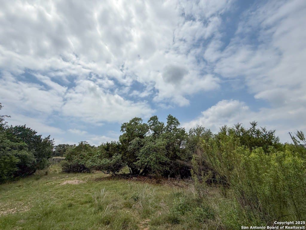 1.01 acres in Comal County gallery image 4