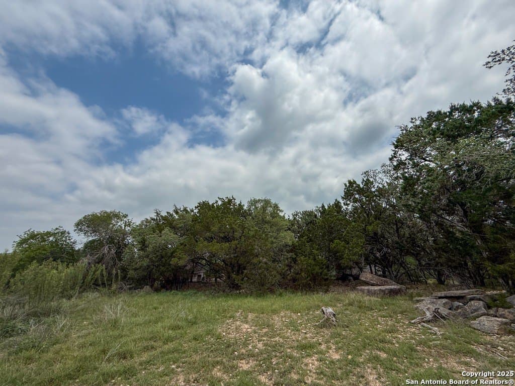 1.01 acres in Comal County gallery image 2