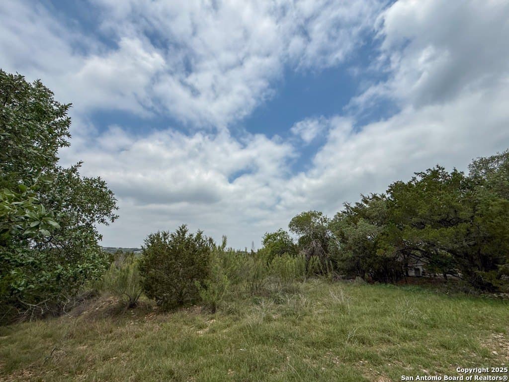 1.01 acres in Comal County gallery image 3