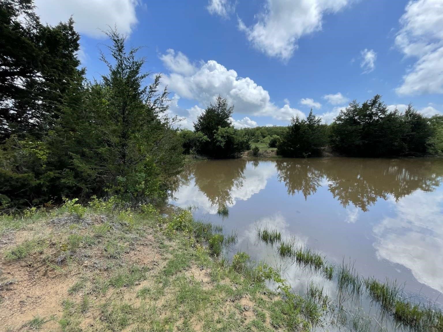 209.13 acres in Wise County - photo 8