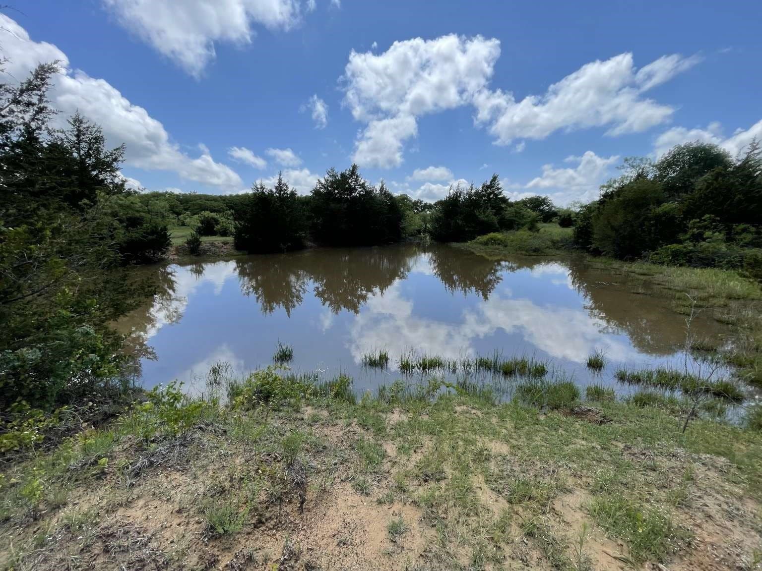 209.13 acres in Wise County