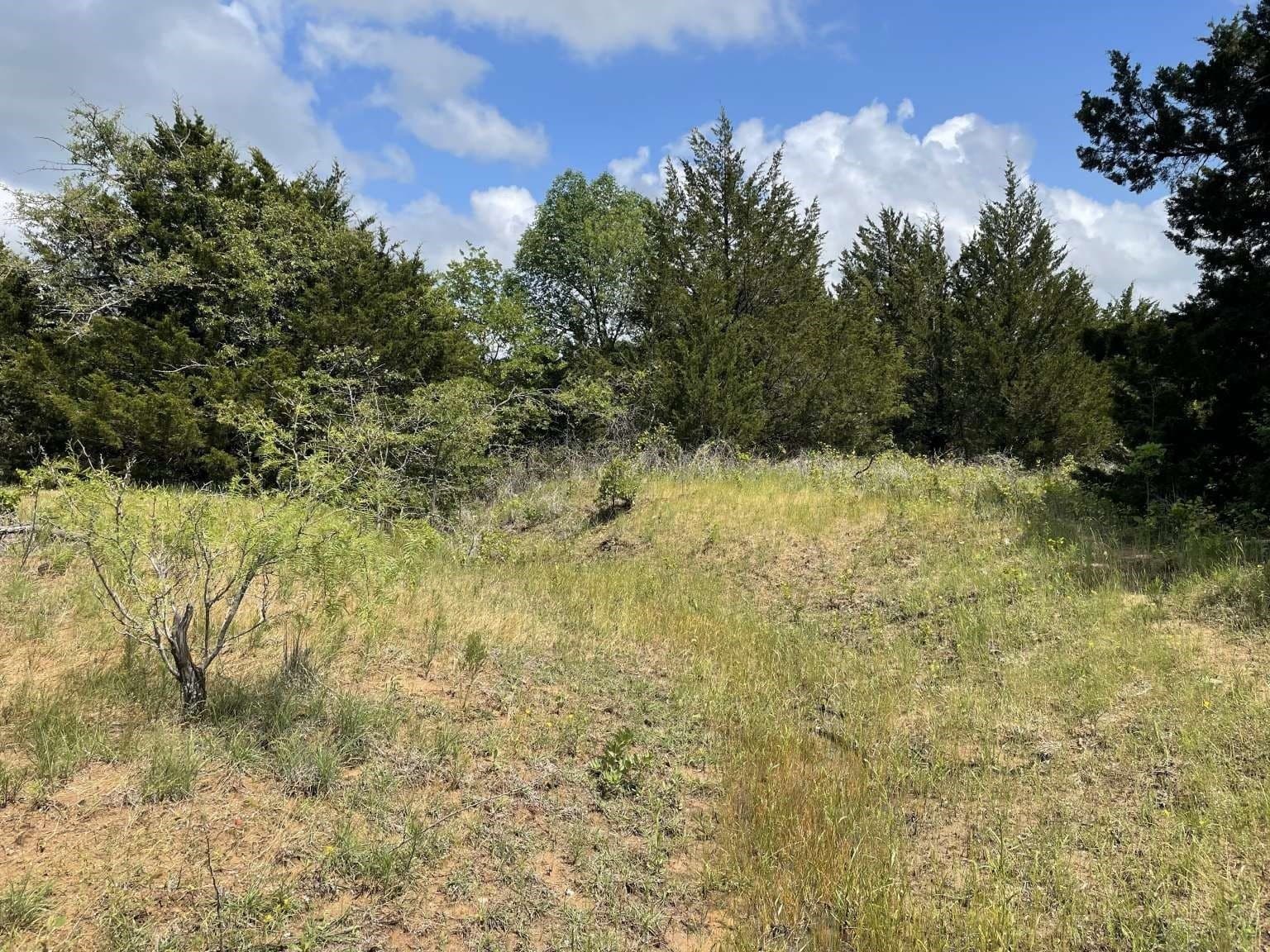 209.13 acres in Wise County - photo 11