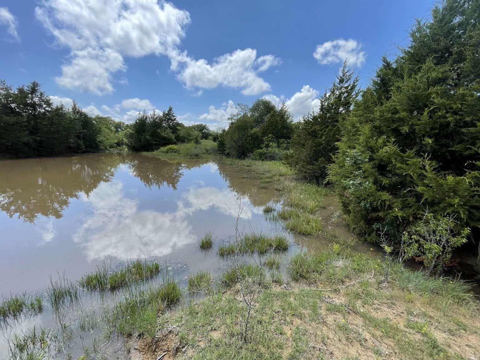 209.13 acres in Wise County - photo 9