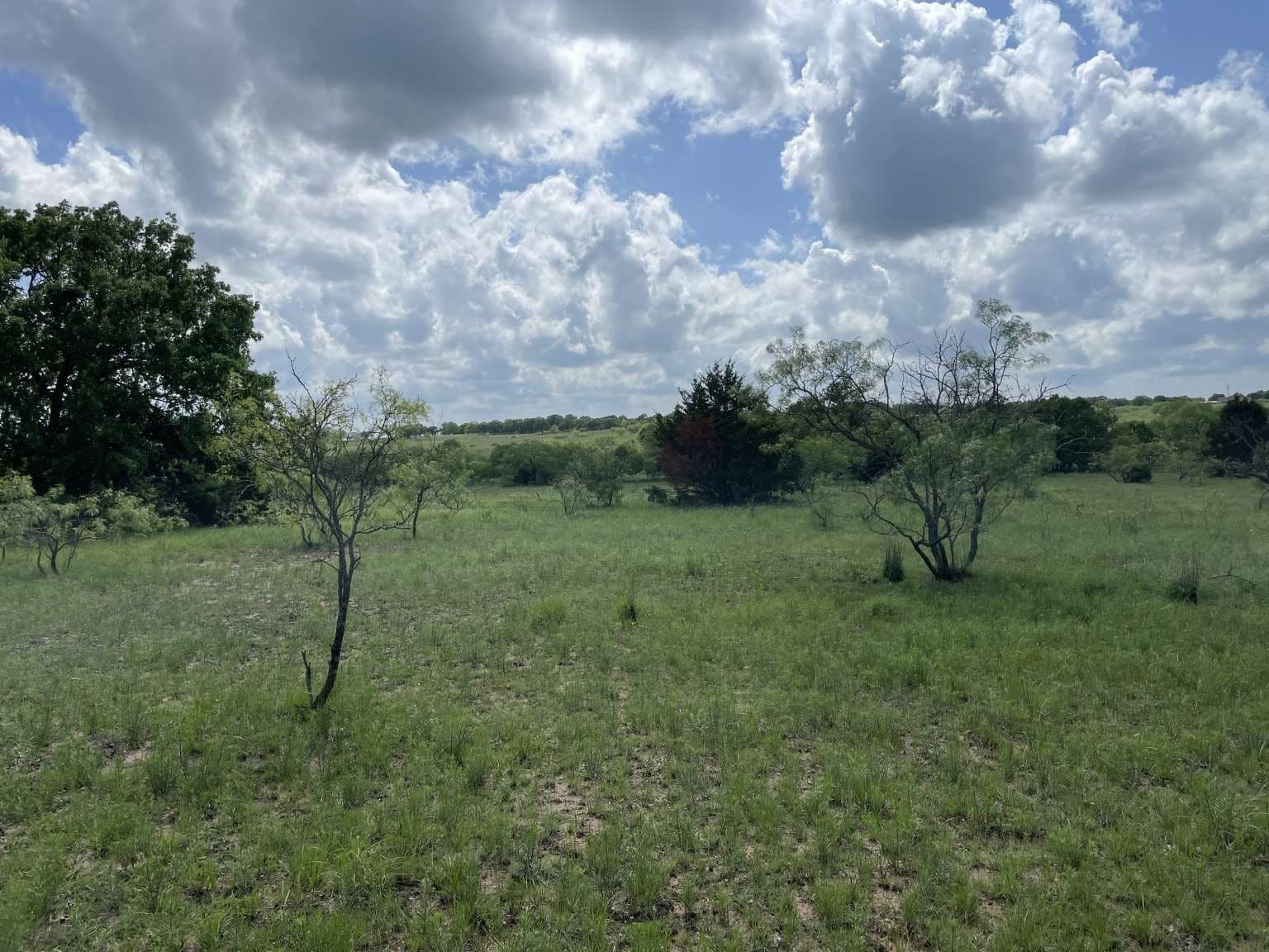 209.13 acres in Wise County - photo 3
