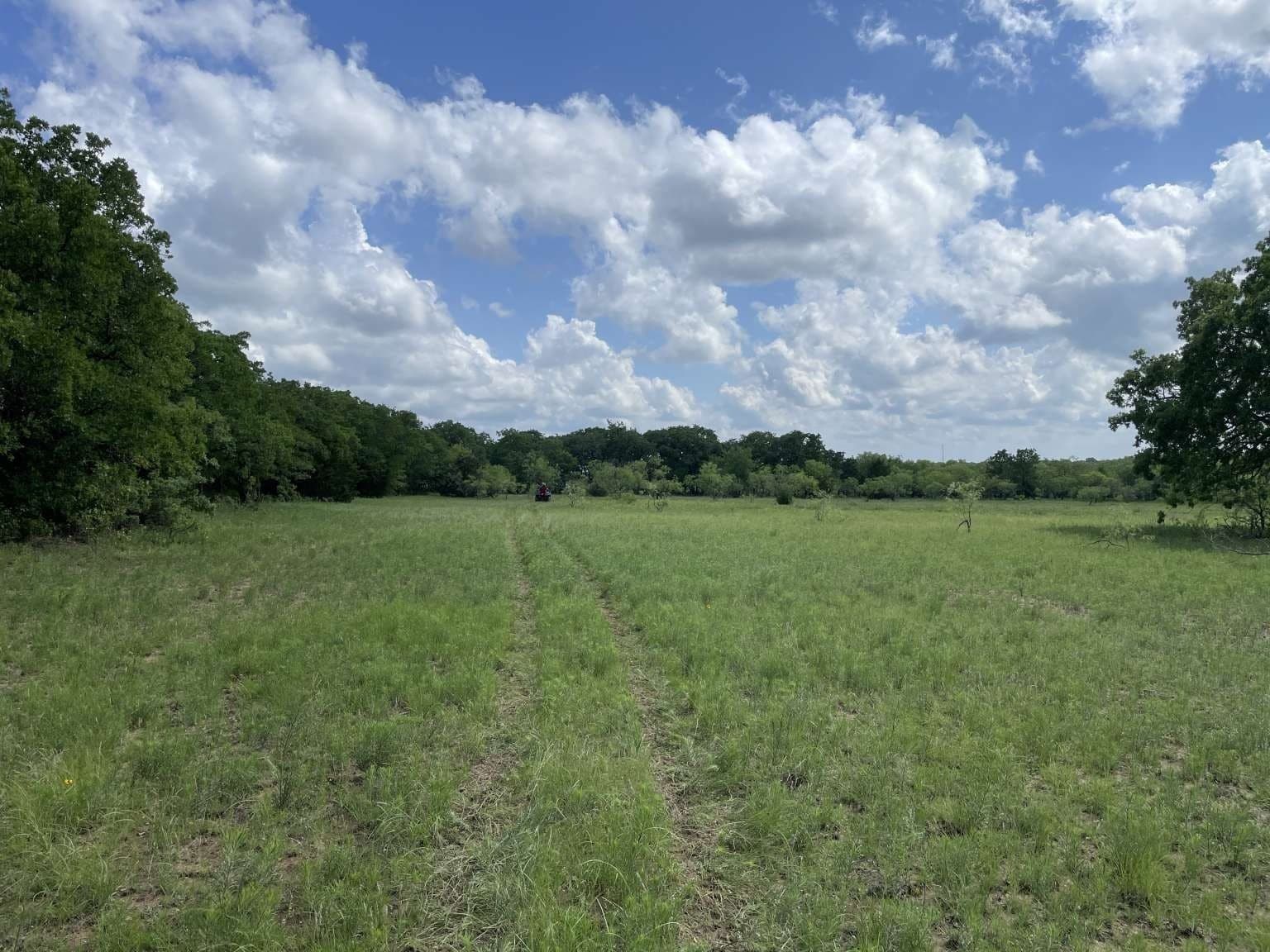 209.13 acres in Wise County - photo 2