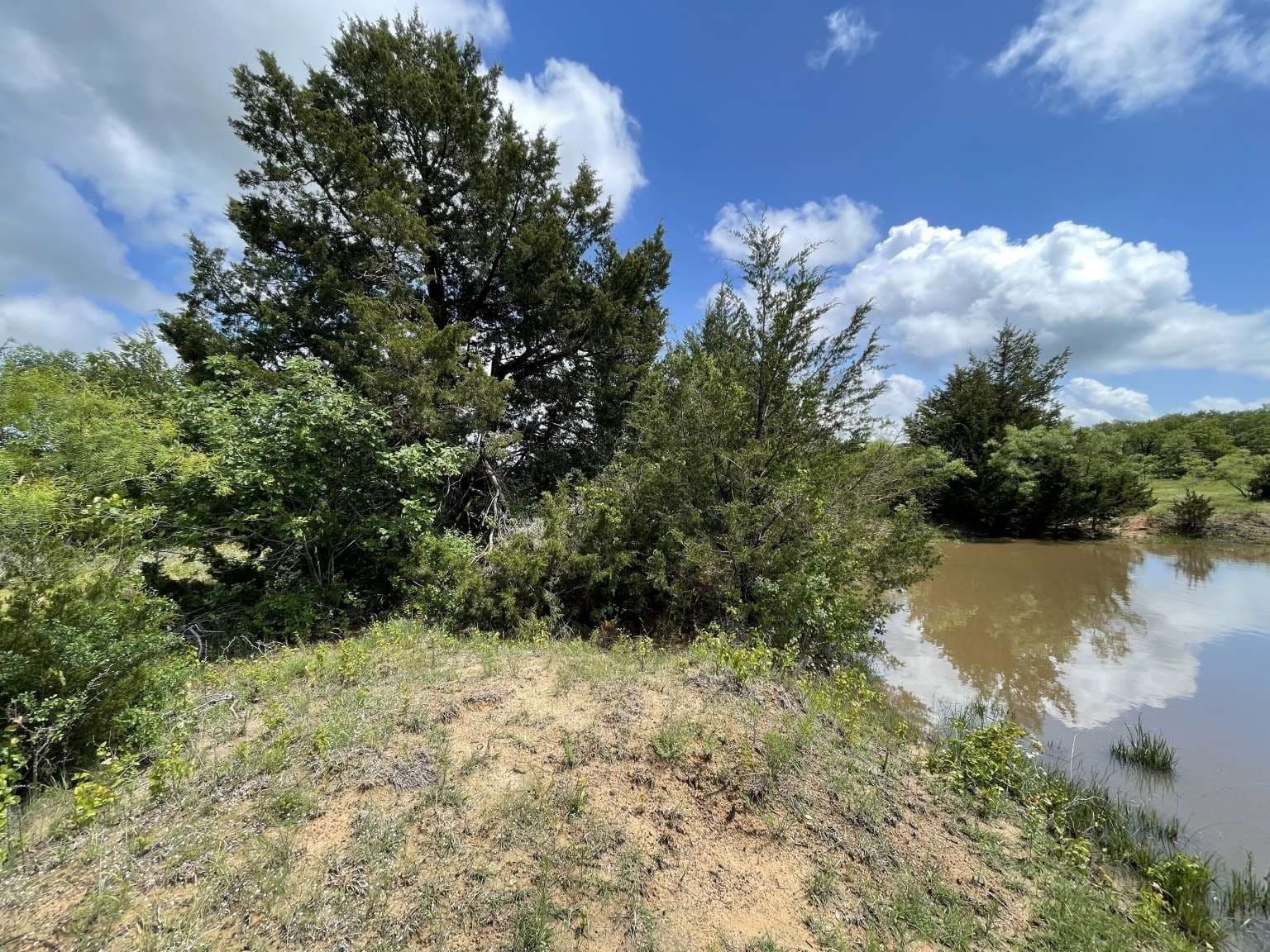 209.13 acres in Wise County - photo 10