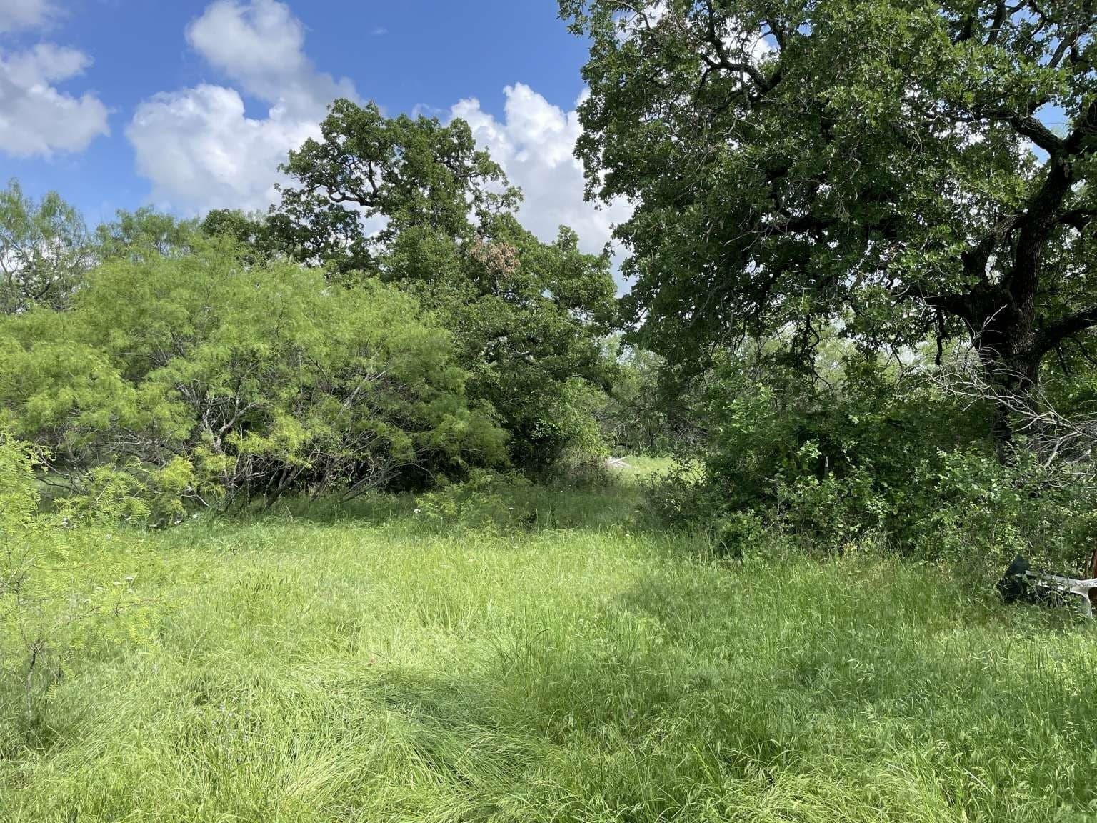 209.13 acres in Wise County - photo 6