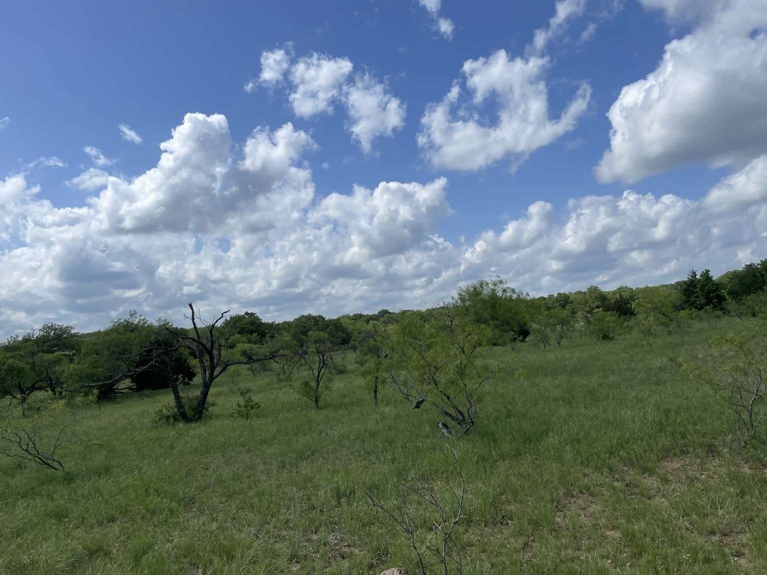 209.13 acres in Wise County - photo 4