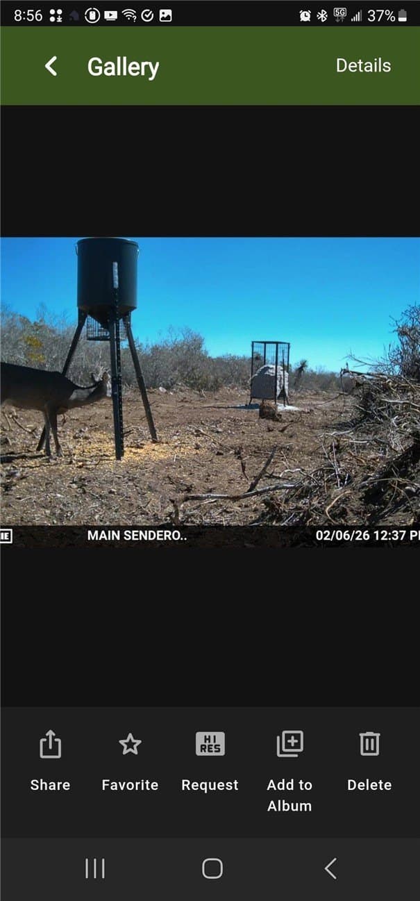 22.37 acres in Duval County - photo 9