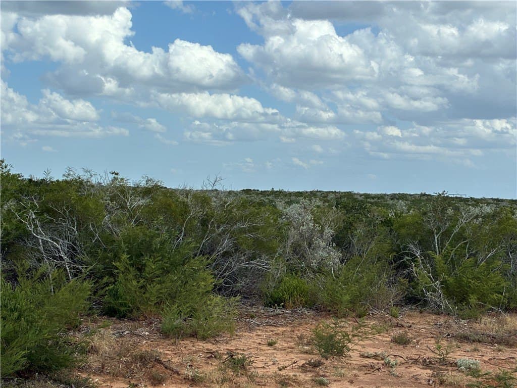 22.37 acres in Duval County - photo 2