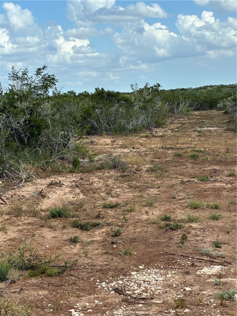 22.37 acres in Duval County - photo 8
