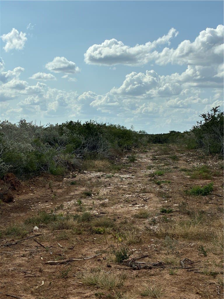 22.37 acres in Duval County - photo 5