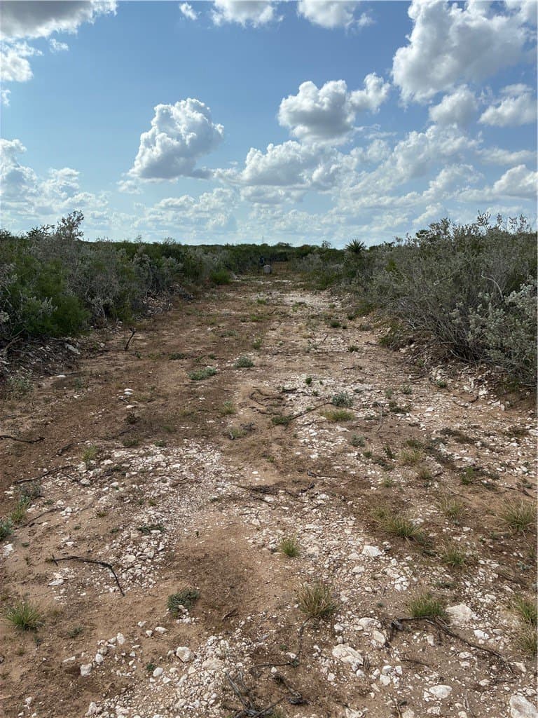 22.37 acres in Duval County - photo 7