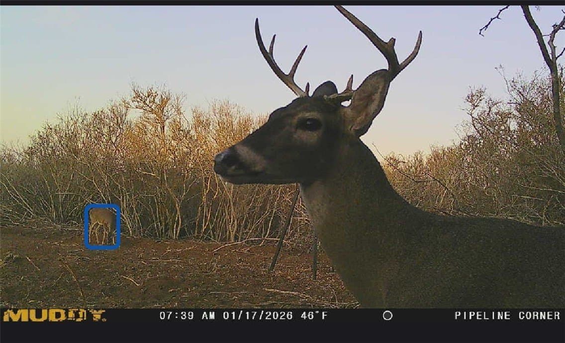 22.37 acres in Duval County - photo 12